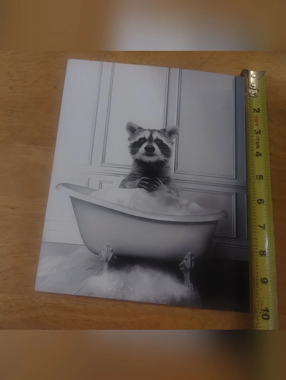 Raccoon Bathroom Wall Art Print Black White Farmhouse Decor Stock Card 8x10